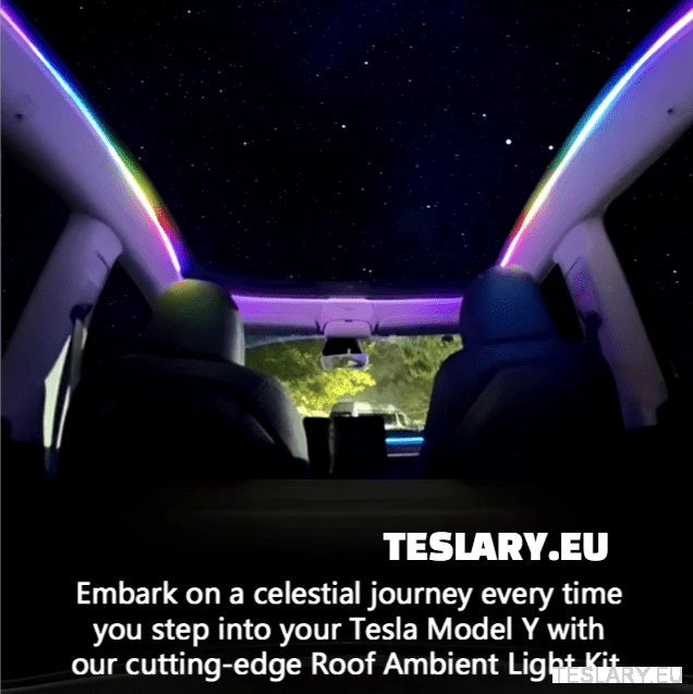 Accessori Imperdibili per Rendi Unica la Tua Tesla