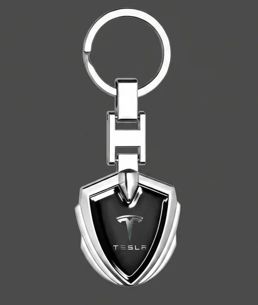 Accessori Tesla per Trasformare Esperienza Guida
