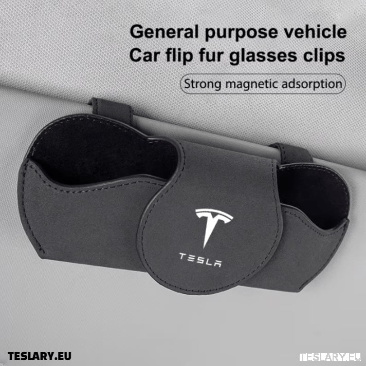 Acessórios Tesla Imperdíveis: Conheça Teslary