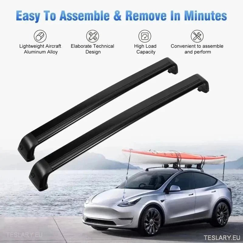 Essentiële Tesla Accessoires voor elke Reis