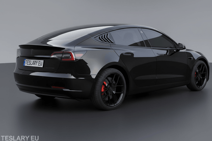 Tesla Model 3 Window Louver Sports Panels for Side Carbon Black or Black Matte or Gloss Buy from Europes TESLARY.EU