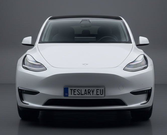 Fog Light Frames Trim Eyebrow Cover Exterior Decoration Splitter Sticker for Tesla Model Y 3 Buy from europes teslary.eu