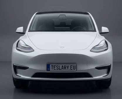 Fog Light Frames Trim Eyebrow Cover Exterior Decoration Splitter Sticker for Tesla Model Y 3 Buy from europes teslary.eu