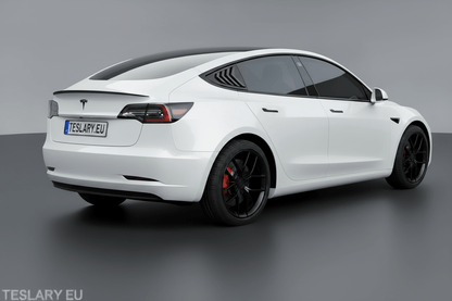 Tesla Model 3 / Y Sports Style Louver Side Windows Splitters ( 2 Pieces ) - TESLARY Tesla Shop Accessories Europe Nederlands Dublin Cork Ireland Deutschland Espana Alicante France Italia