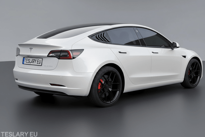 Tesla Model 3 / Y Sports Style Louver Side Windows Splitters ( 2 Pieces ) - TESLARY Tesla Shop Accessories Europe Nederlands Dublin Cork Ireland Deutschland Espana Alicante France Italia